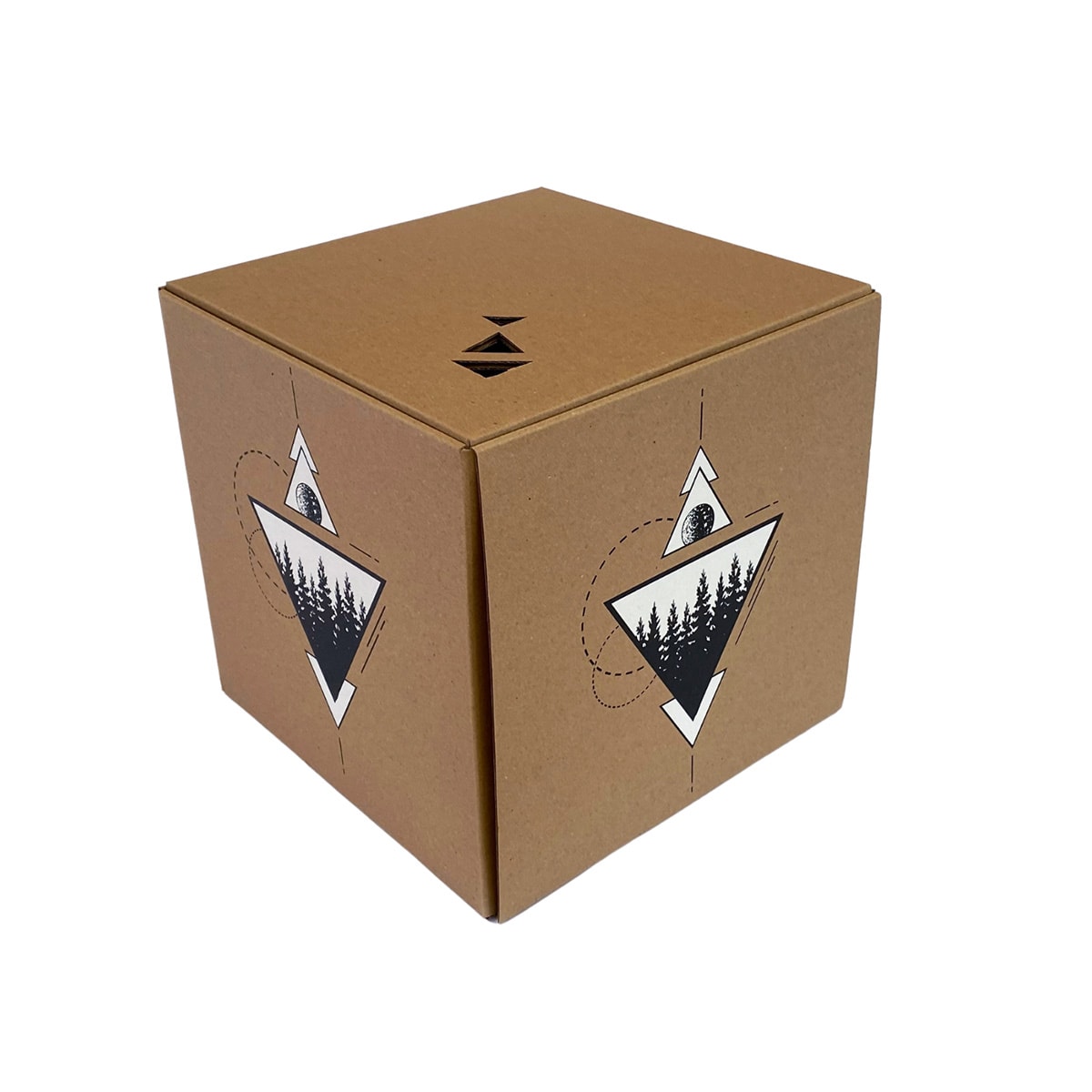 Triángulo kraft